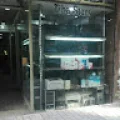Tiba Star