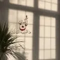 Menna Morsi