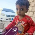محمود محمد الهندى